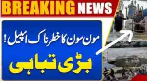 Punjab Declares Emergency as Monsoon Floods Kill 33, Injure Over 170